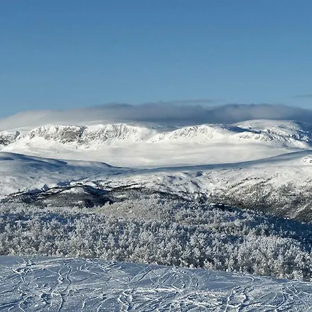 Private At Dr. Holms * Geilo