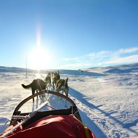 Private At Dr. Holms Geilo